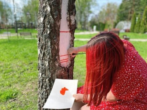 В парке «Победа» на деревьях появились яркие рисунки в народном стиле новости Талдома 